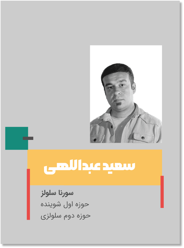 سعید عبدالهی